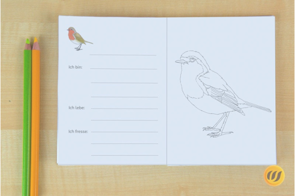 Arbeitsheft Europäische Vögel (Download) wintervoegel_arbeit