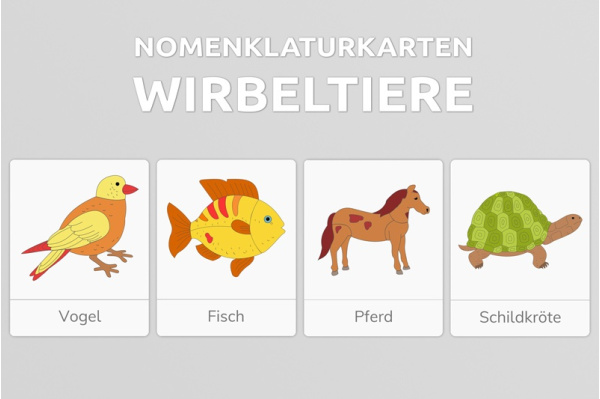 wirbeltieregesamtpaket