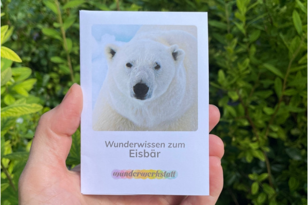 Faltbüchlein: "Wunderwissen zum Eisbären" (Download) wunderwissen_eisbaer_titel