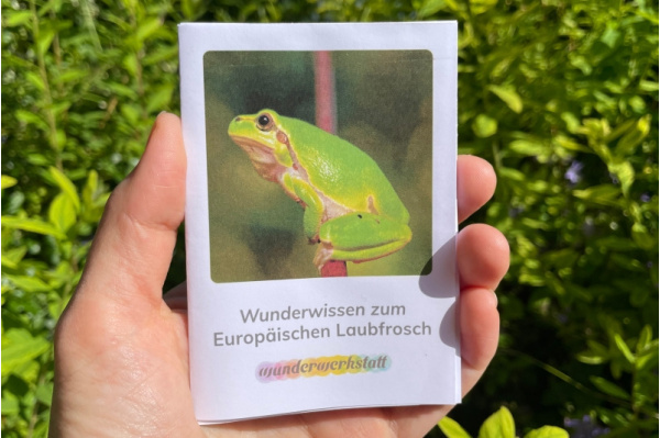 wunderwissen_laubfrosch_titel_neu