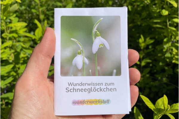 Faltbüchlein: "Wunderwissen zum Schneeglöckchen" (Download) wunderwissen_schneegloeckchen_titel_neu