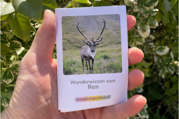 Faltbüchlein: "Wunderwissen zum Ren" (Download) ww_rentier_titel