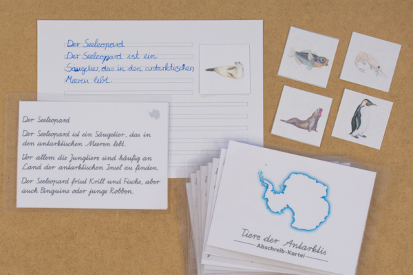 Abschreibekartei 8 Tiere der Antarktis