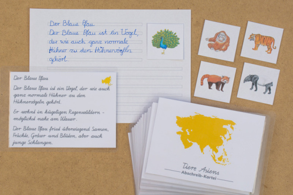 Abschreibekartei 20 Tiere Asiens