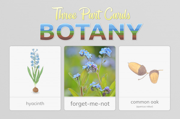 botany_3part