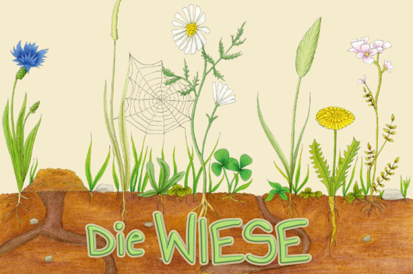 die_wiese