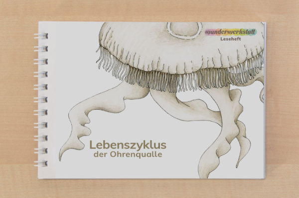 Leseheft: Das Leben der Ohrenqualle - illustriert