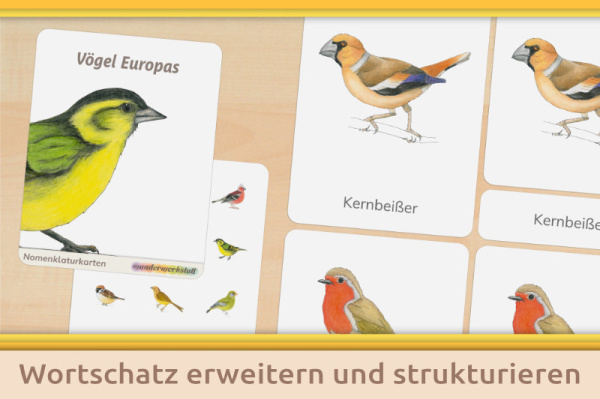 materialklassen_nomenklatur