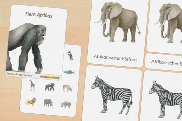 18 Nomenklaturkarten Tiere Afrikas