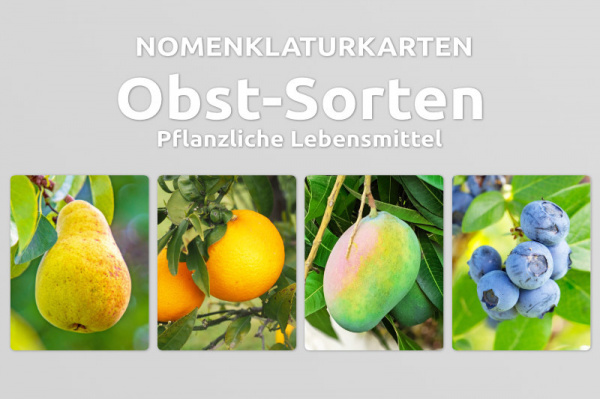 (Deutsch - Druckschrift - Download)