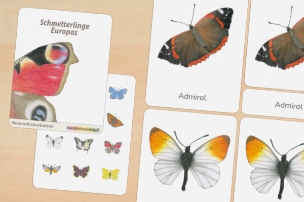 12 Nomenklaturkarten heimische Schmetterlinge