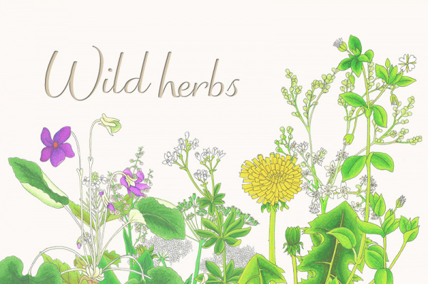 p-wild_herbs