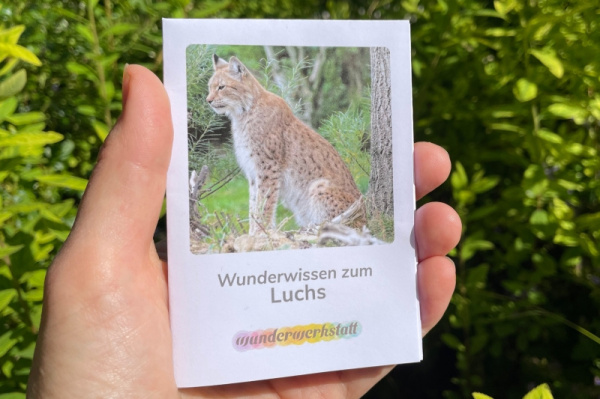 wunderwissen_luchs_titel_neu