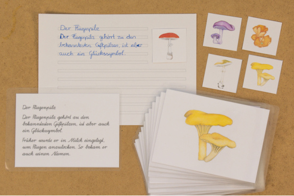 Abschreibekartei 14 Pilze abschreibkartei_pilze