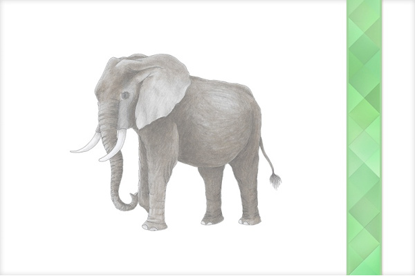 Download-Paket: Tiere Afrikas afrika_tiere_paket