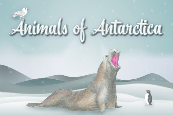 antarctica