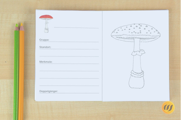 Arbeitsheft Pilze (Download) arbeitsheft_pilze