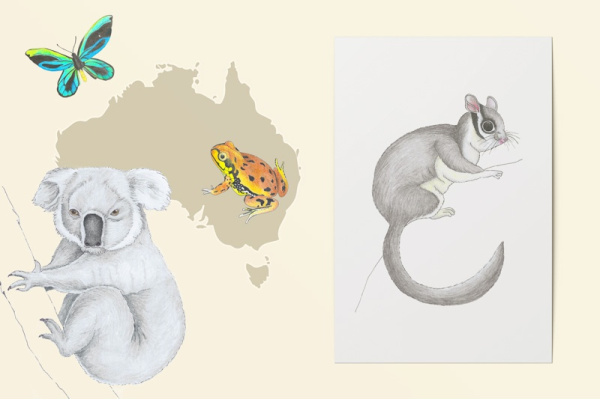 australien_einzel_titel