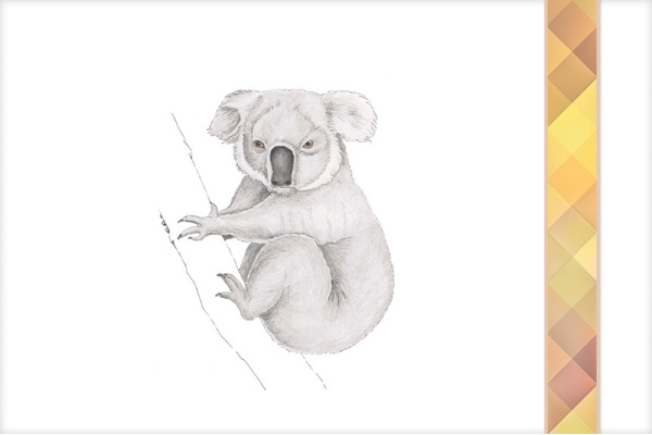 Download-Paket: Tiere Ozeaniens australien_tiere_paket