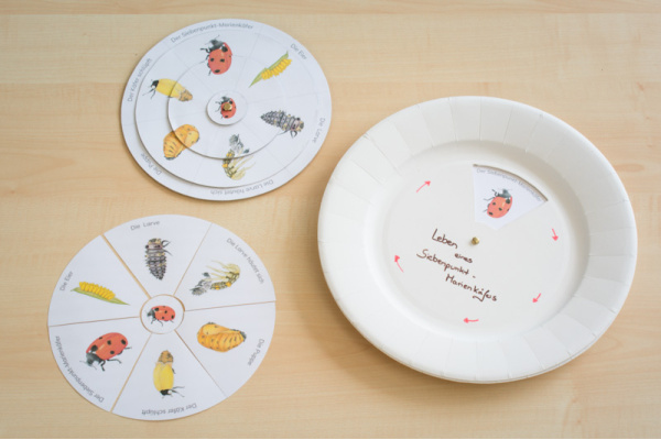 Drehpuzzle und Legekreis Marienkäfer (Download) drehkreis_marienkaefer