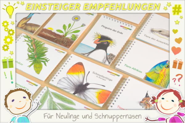 einsteiger_lesehefte_2