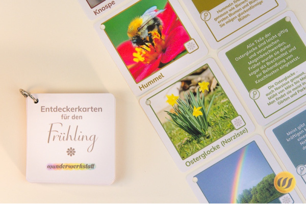 Im Frühling - 30 Entdeckerkarten mit Suchtipps und Gesprächsstarter (3.Auflage) ek_fruehling_mit