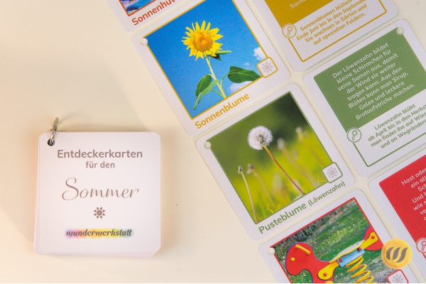 Im Sommer - 36 Entdeckerkarten mit Suchtipps und Gesprächsstarter (3. Auflage) ek_sommer_mit
