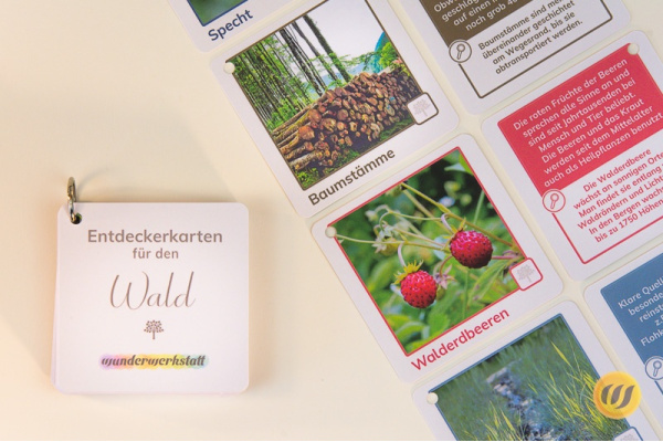 Im Wald - 30 Entdeckerkarten mit Suchtipps und Gesprächsstarter (3. Auflage) ek_wald_mit