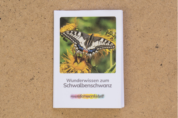 Faltbüchlein: "Wunderwissen zum Schwalbenschwanz" (Download) faltbuechlein_schwalbenschwanz