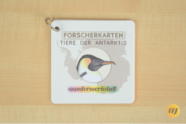forscher_antarktis_druck