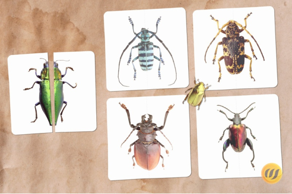 Mini-Puzzle Käfer (Download)