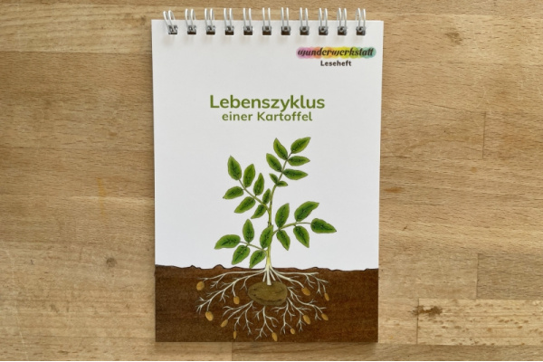Leseheft: Lebenszyklus einer Kartoffel - illustriert kartoffel_lh_titel