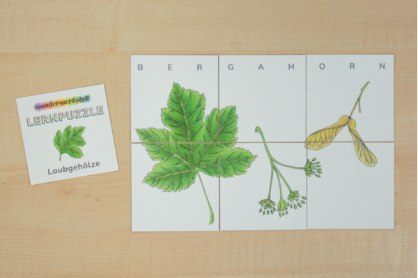 Lernpuzzle Laubgehölze Lernpuzzle Laubgehölze