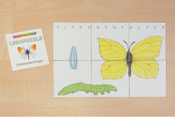 Lernpuzzle Schmetterlinge lernpuzzle_schmetterlinge