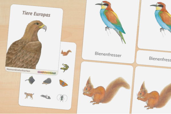 20 Nomenklaturkarten Tiere Europas 20 Nomenklaturkarten Tiere Europas