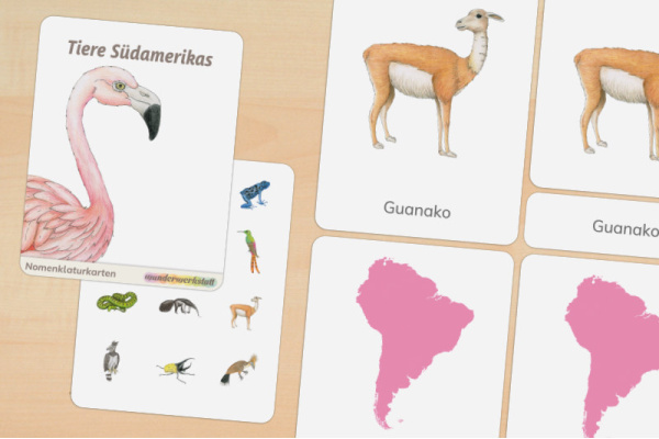20 Nomenklaturkarten Tiere Südamerikas nomen_sa_1