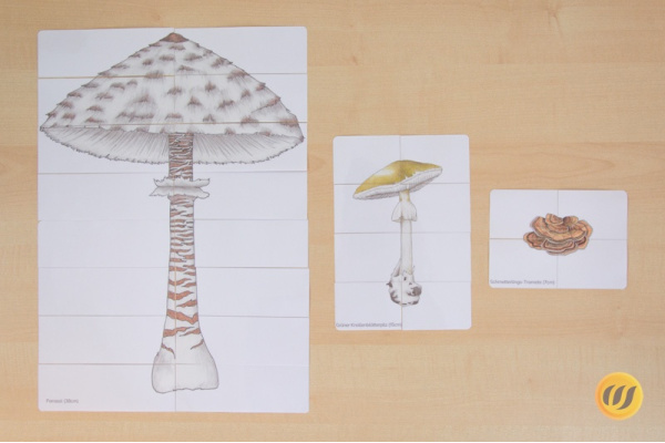 Pilze-Puzzle pilzepuzzle_1