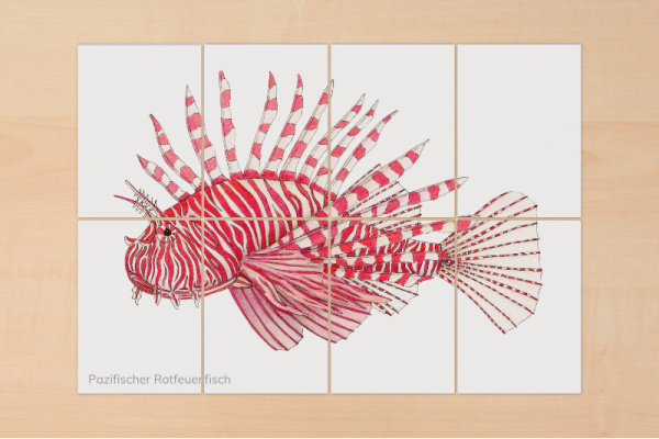 8-teilige Puzzle "Tiere im Korallenriff" puzzle_korallenriff_1