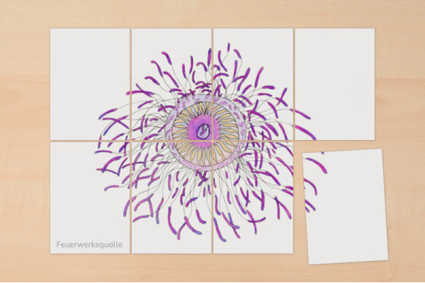 8-teilige Puzzle "Quallen" puzzle_quallen_2