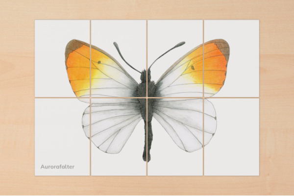 8-teilige Puzzle "Raupen und Schmetterlinge" puzzle_raupe_schmetterling4