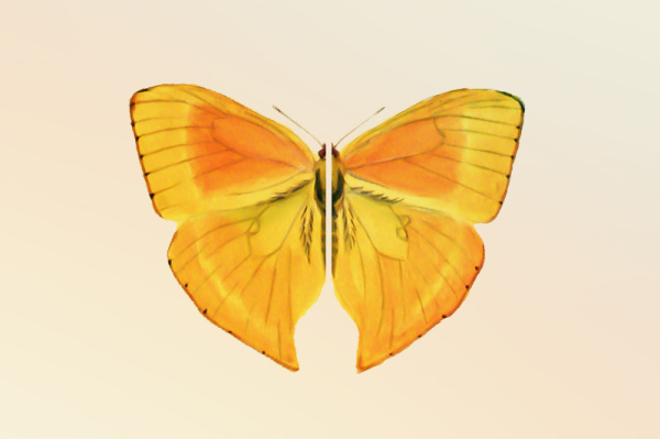 puzzle_titel_1850628506