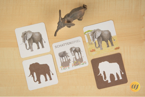 Schattenspiel Tiere Afrikas