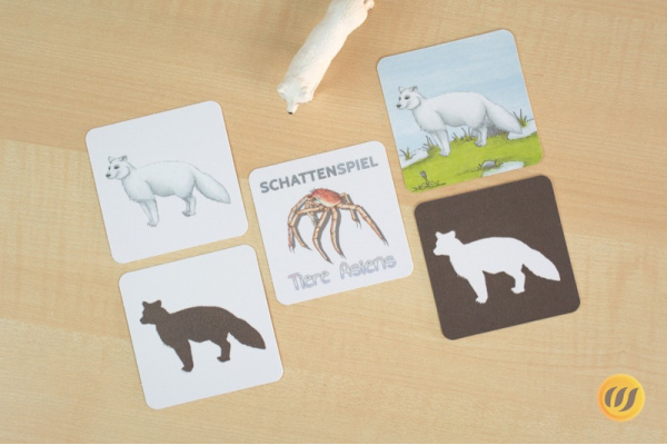 Schattenspiel Tiere Asiens schatten_asien_druck_1