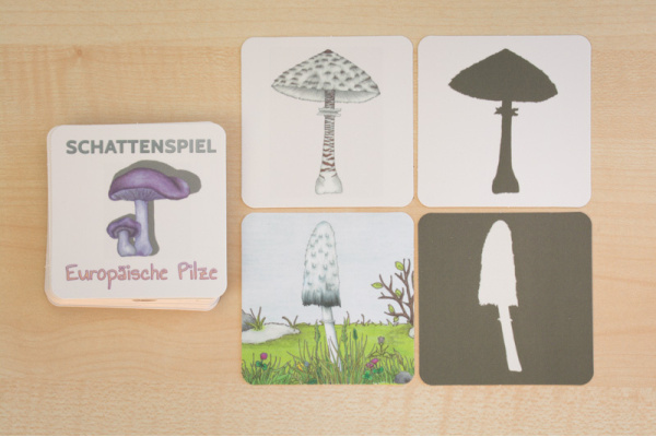 Pilze und ihre Schatten schatten_pilze_druck_titel
