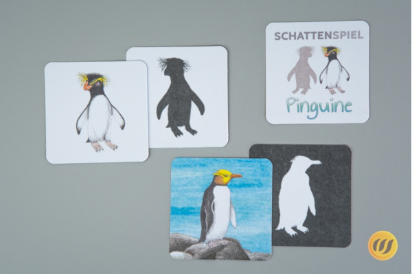Schattenspiel Pinguine