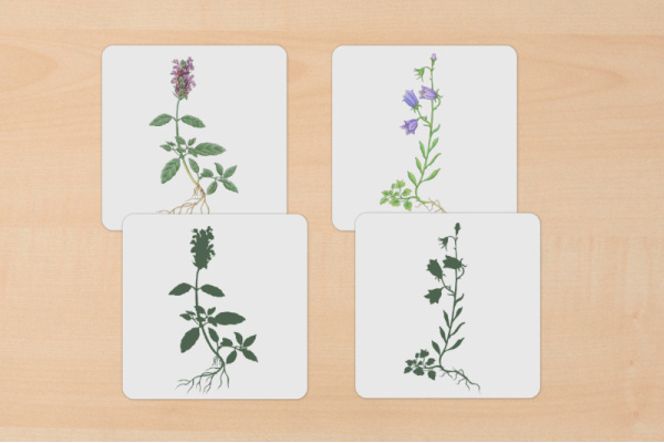 Schattenspiel Wiesenblumen schattenspiel_wiesenblumen