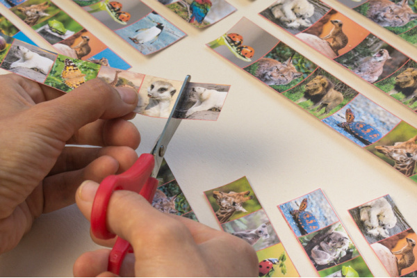 Schneidestreifen Tiere (Download) schneidestreifen_tiere