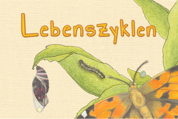 t_lebenszyklen_22