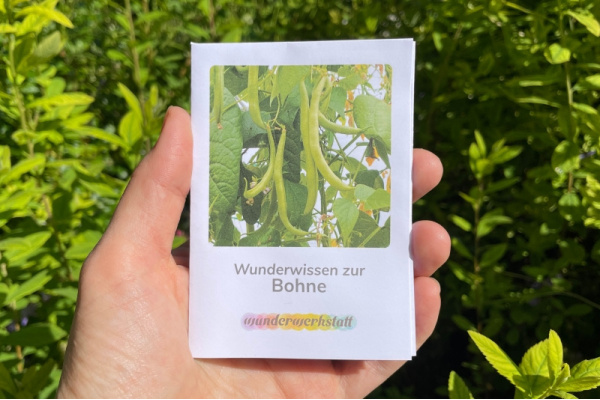 Faltbüchlein: "Wunderwissen zur Bohne" (Download) wunderwissen_bohne_titel_neu