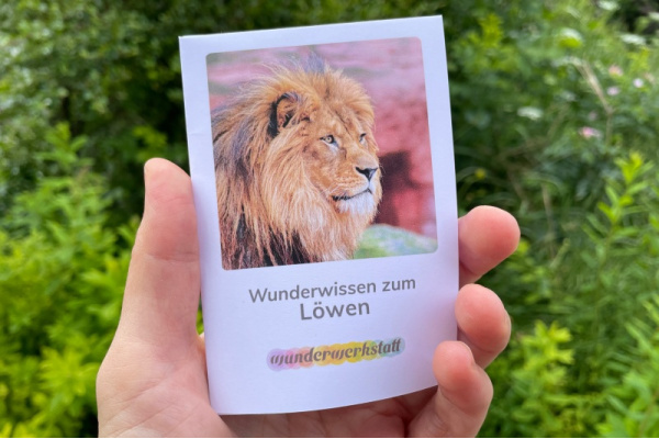Faltbüchlein: "Wunderwissen zum Löwen" (Download) wunderwissen_faltbuechlein-loewe